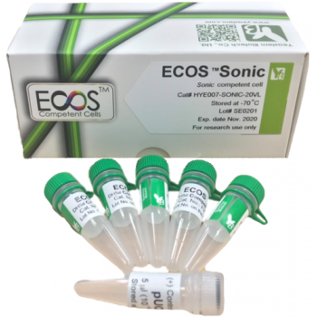 ecos_sonic